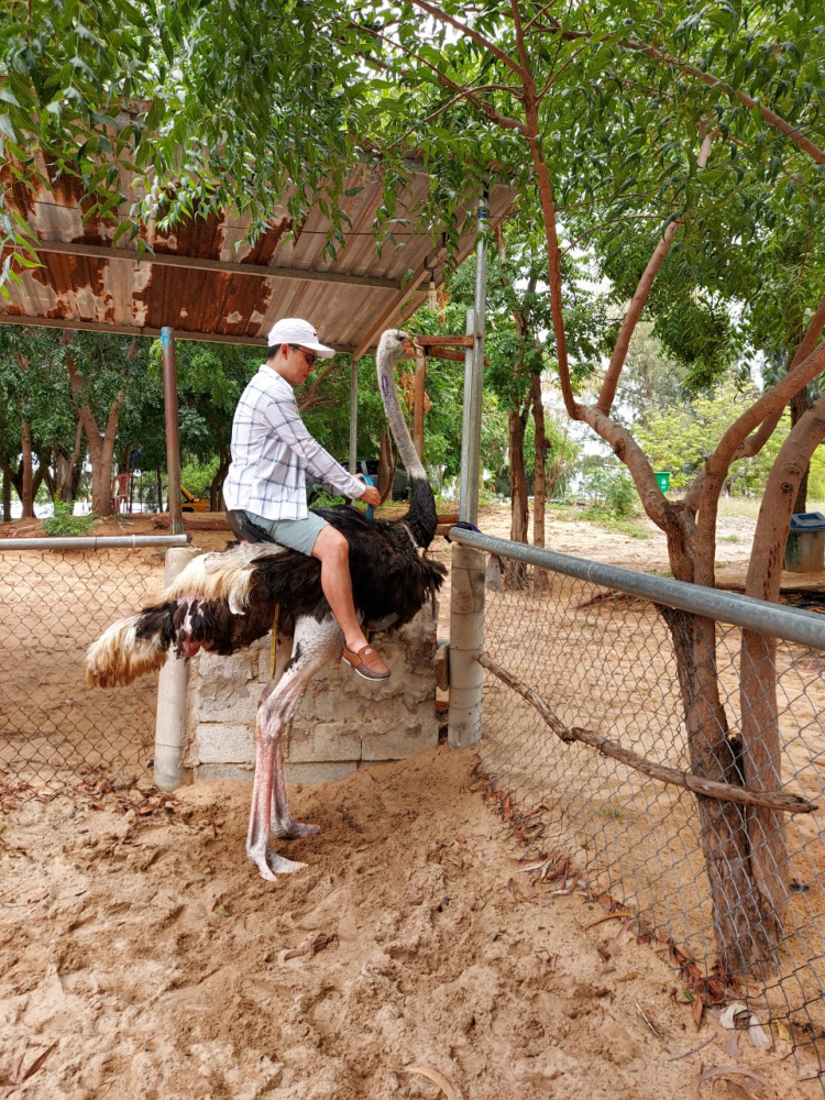Xin hỏi đường tự lái từ SG - Phan Thiết Xin hỏi đường tự lái từ SG - Phan Thiết