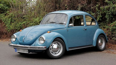 Beetle 1.jpg
