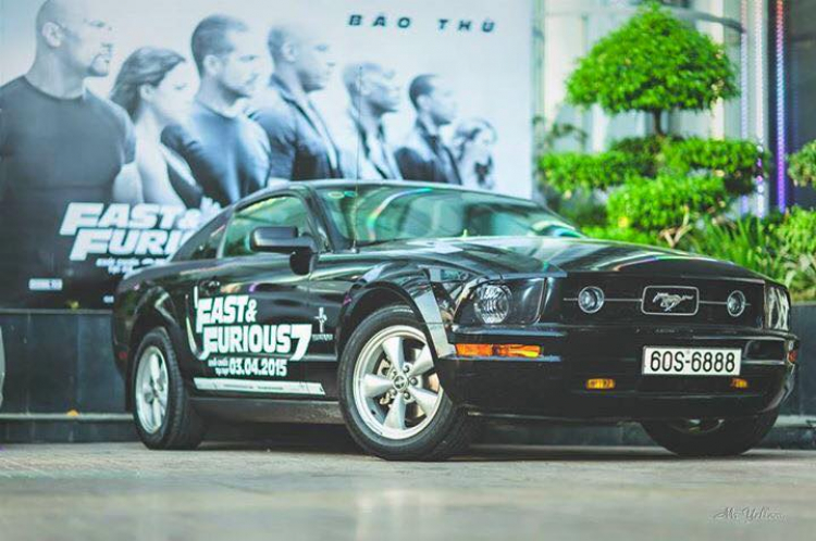 MUSTANG & FAST7