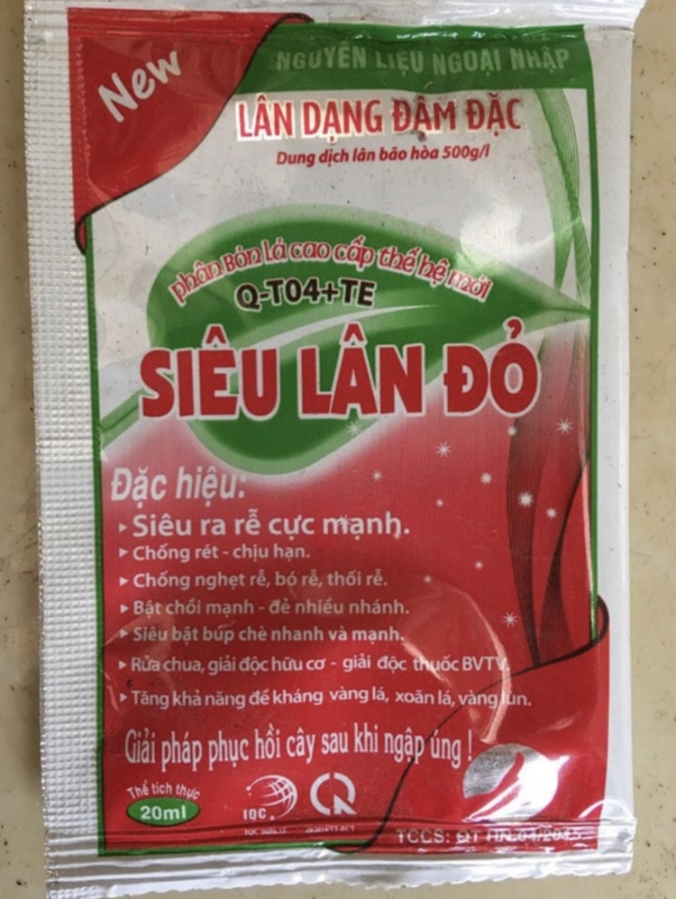 Bài học cho dân tập sự chơi lan mùa Covid19 và chơi cả hồng :P