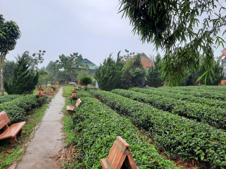 Thông tin xoay quanh BĐS Bảo Lộc.