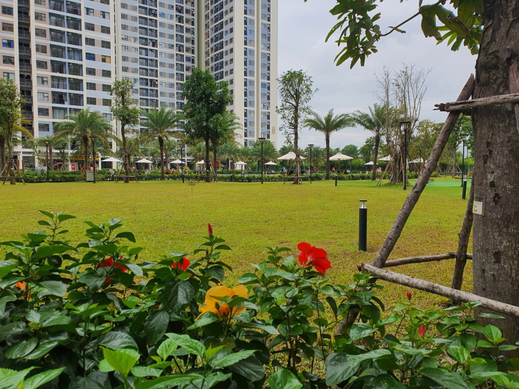 VINHOMES GRAND PARK QUẬN 9 LÀ CÁI “BẪY GẤU” CHO NHỮNG KHÁCH YÊU MÀU HỒNG!