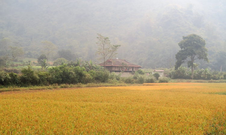 [Oser du lịch] Một thoáng trên quê hương Cao Bằng