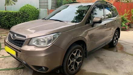 Forester.jpg