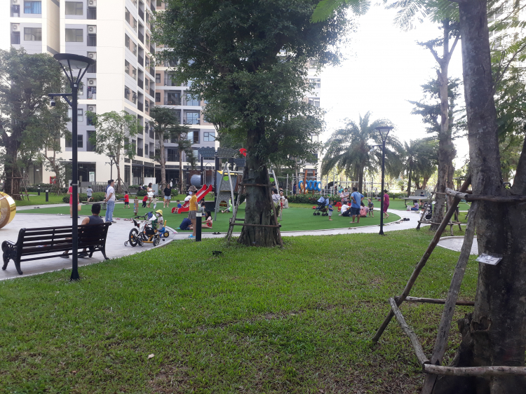VINHOMES GRAND PARK QUẬN 9 LÀ CÁI “BẪY GẤU” CHO NHỮNG KHÁCH YÊU MÀU HỒNG!