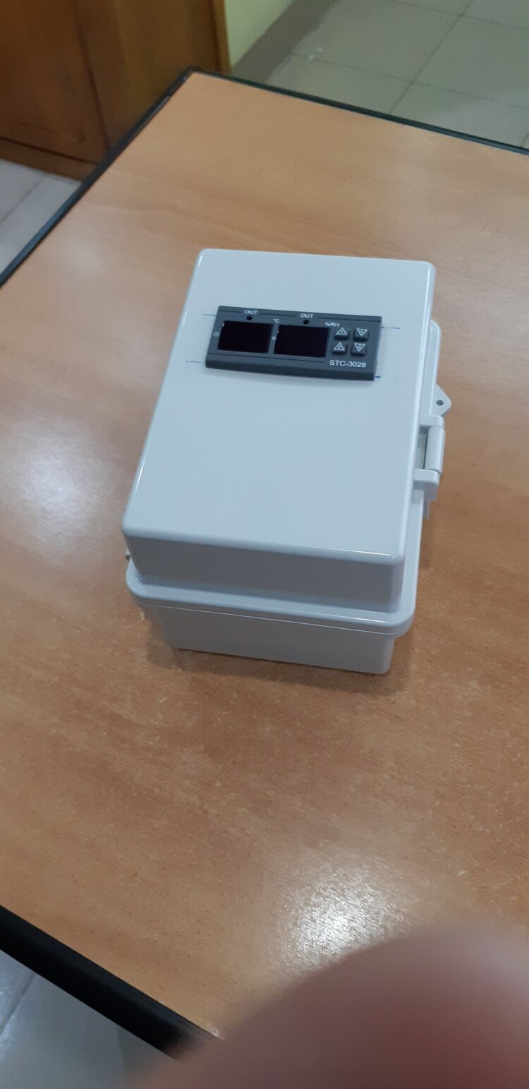 Bài học cho dân tập sự chơi lan mùa Covid19 và chơi cả hồng :P Bài học cho dân tập sự chơi lan mùa Covid19 và chơi cả hồng :P