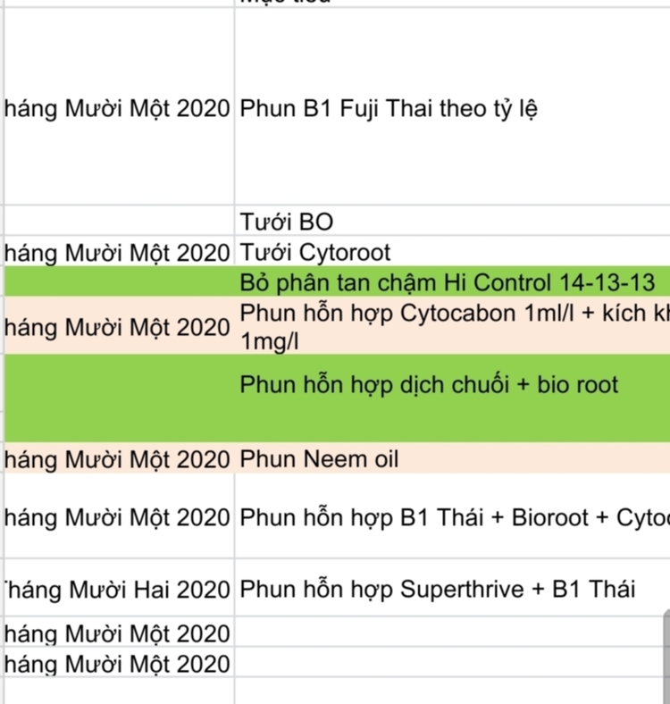 Bài học cho dân tập sự chơi lan mùa Covid19 và chơi cả hồng :P