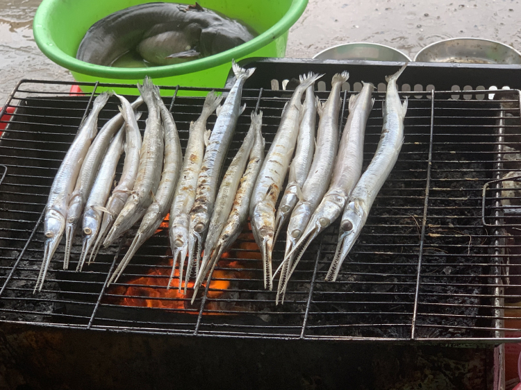 Hỏi kinh nghiệm phượt đảo Thạnh An, Cần Giờ? Hỏi kinh nghiệm phượt đảo Thạnh An, Cần Giờ?