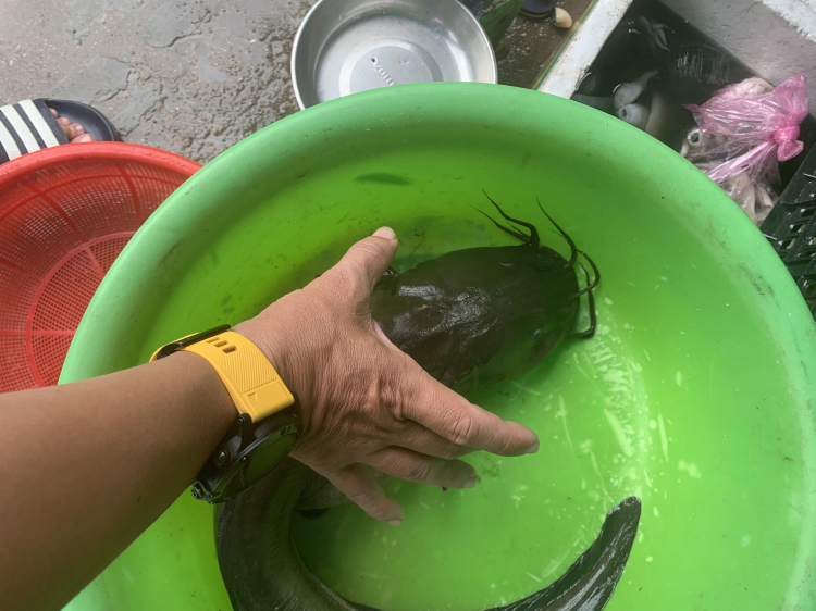 Hỏi kinh nghiệm phượt đảo Thạnh An, Cần Giờ? Hỏi kinh nghiệm phượt đảo Thạnh An, Cần Giờ?