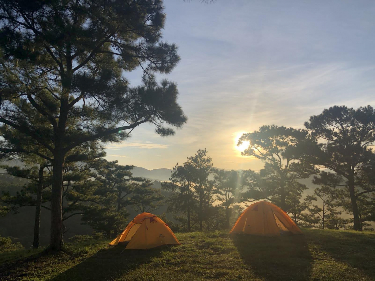 Camping Đà Lạt giữa tuần