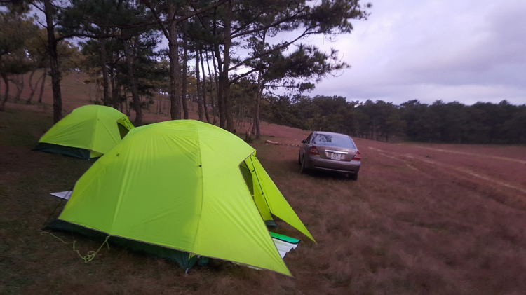 Camping Đà Lạt giữa tuần Camping Đà Lạt giữa tuần