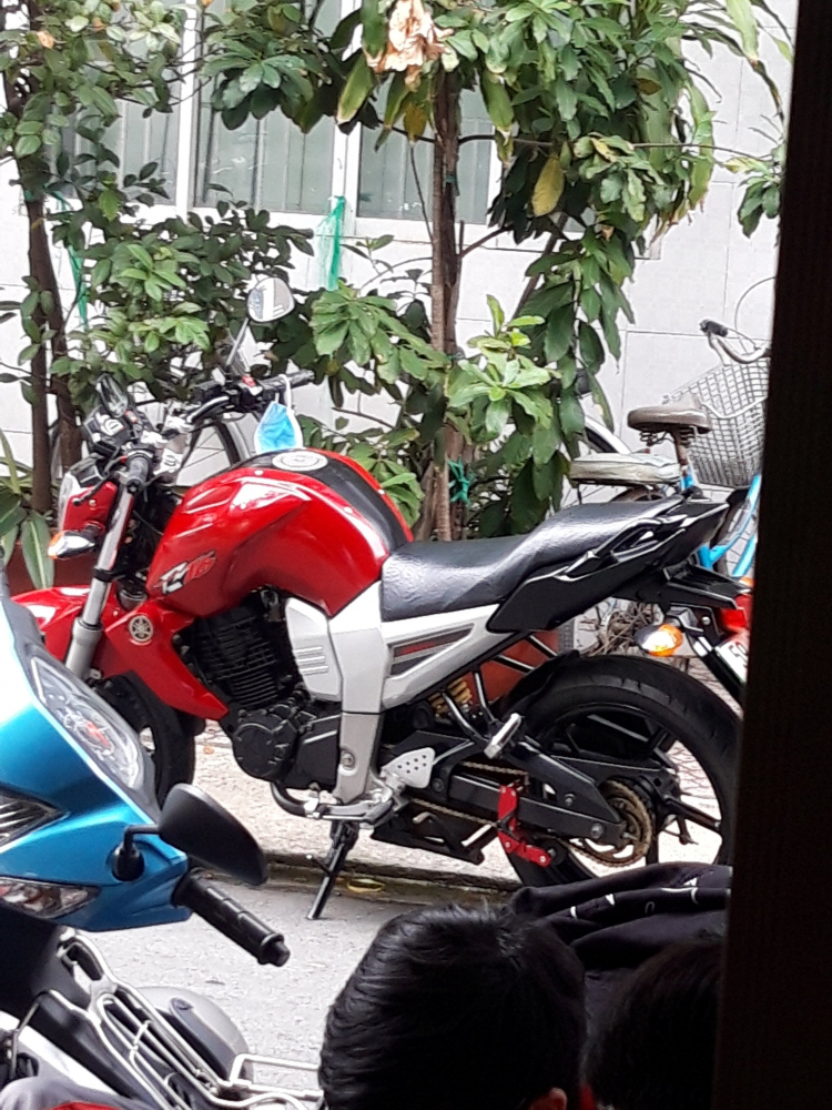 Tay ga nào dành cho nữ trung niên? Tay ga nào dành cho nữ trung niên?