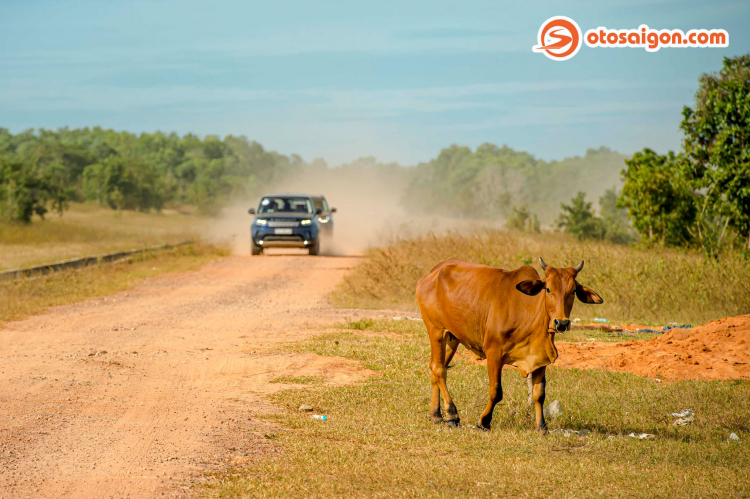 Ký sự hành trình "lên rừng, xuống biển" cùng những chiếc SUV sang Land Rover Experience Tour 2020