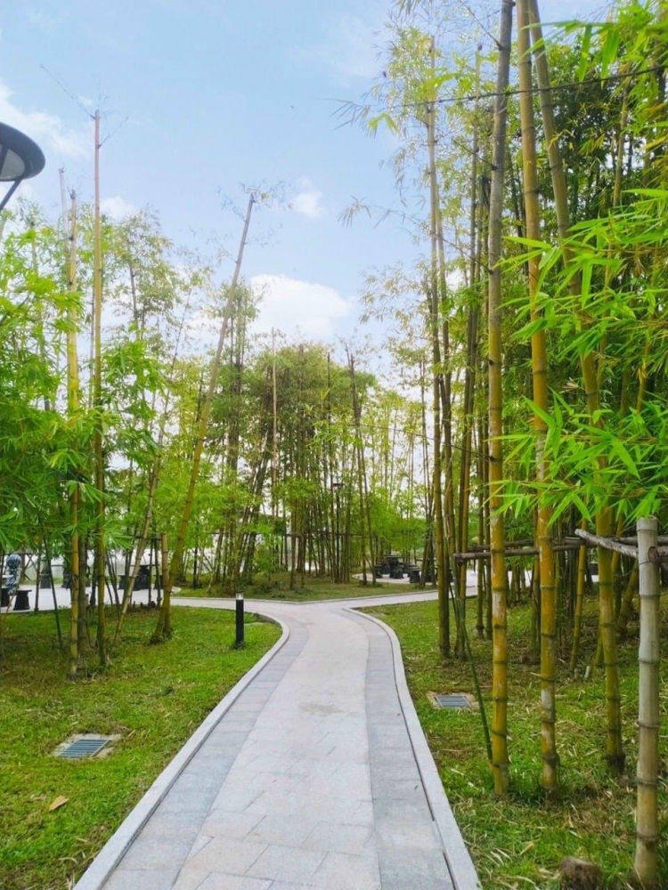 VINHOMES GRAND PARK QUẬN 9 LÀ CÁI “BẪY GẤU” CHO NHỮNG KHÁCH YÊU MÀU HỒNG!