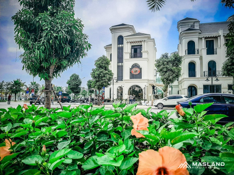 VINHOMES GRAND PARK QUẬN 9 LÀ CÁI “BẪY GẤU” CHO NHỮNG KHÁCH YÊU MÀU HỒNG!