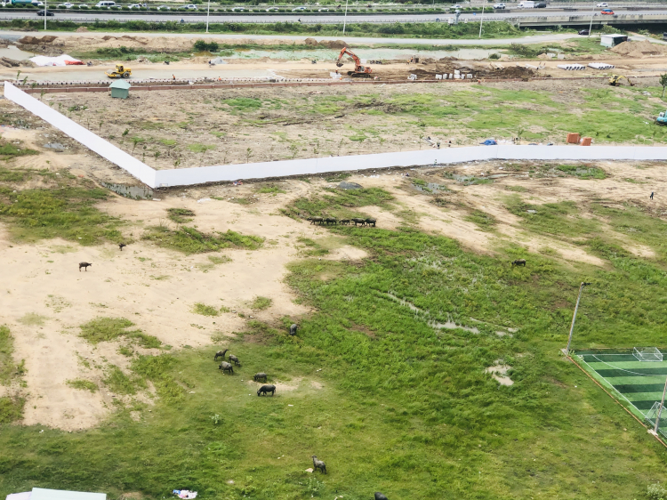 VINHOMES GRAND PARK QUẬN 9 LÀ CÁI “BẪY GẤU” CHO NHỮNG KHÁCH YÊU MÀU HỒNG!