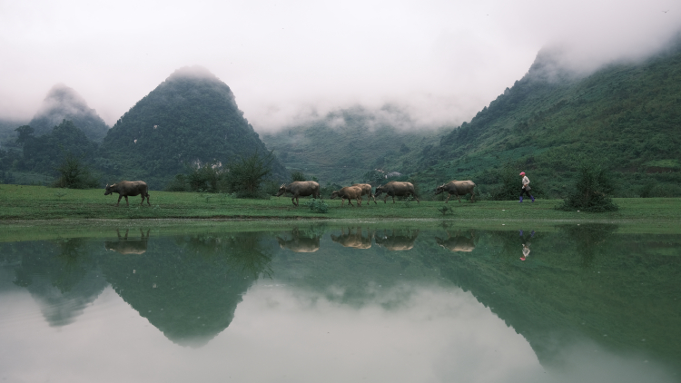 Bãi Tình - Một nơi đẹp cho những ai yêu thích thiên nhiên