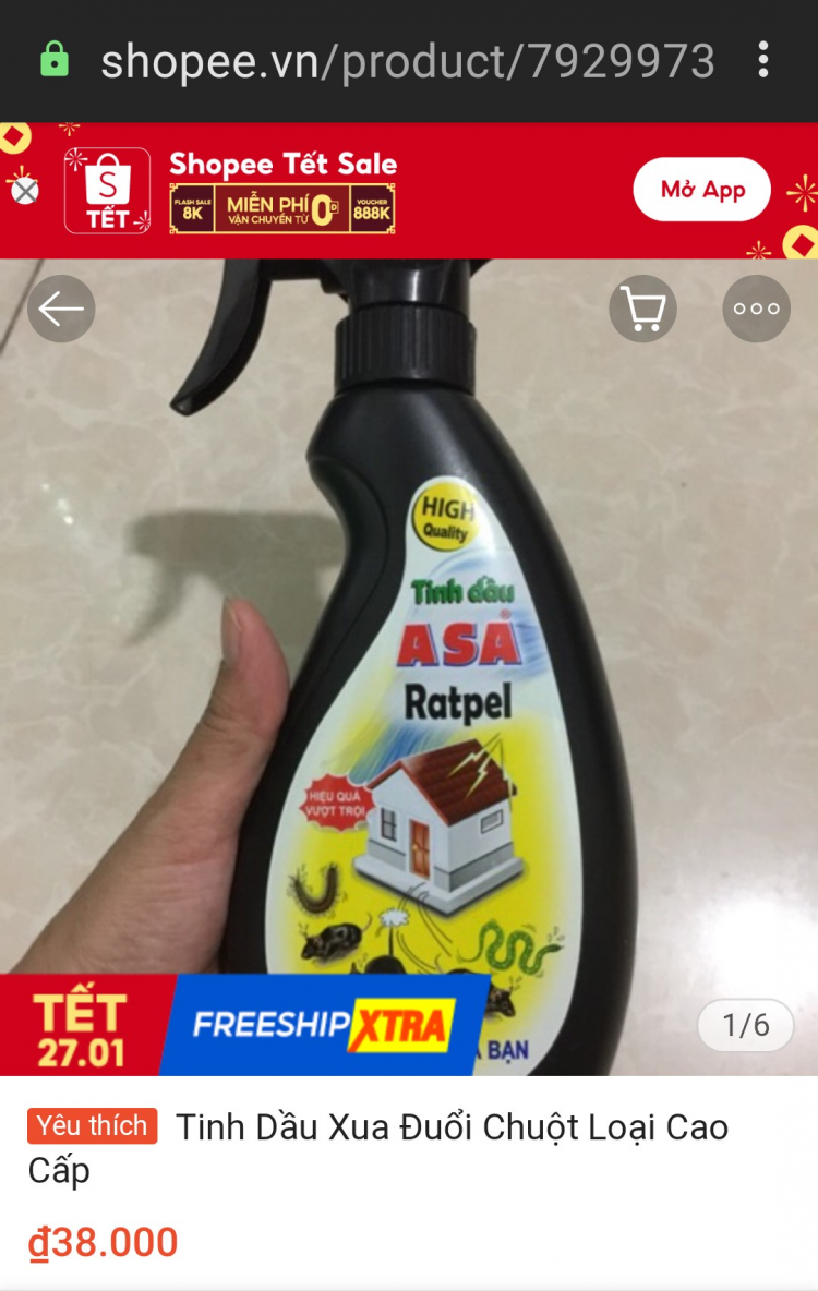 Vấn đề chuột trên xe ô tô Vấn đề chuột trên xe ô tô