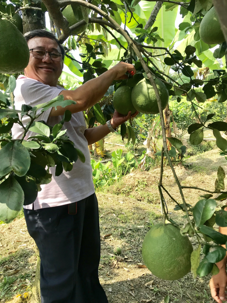 Jolie - Trên những nẻo đường