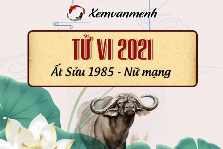 Cảm nhận nữ mạng tử vi tuổi 1985 có nên mua xe năm 2021