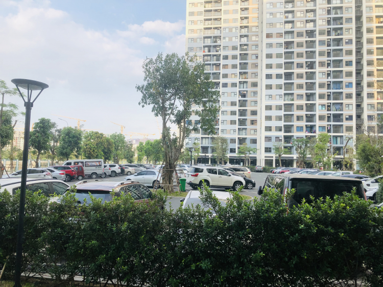 VINHOMES GRAND PARK QUẬN 9 LÀ CÁI “BẪY GẤU” CHO NHỮNG KHÁCH YÊU MÀU HỒNG!