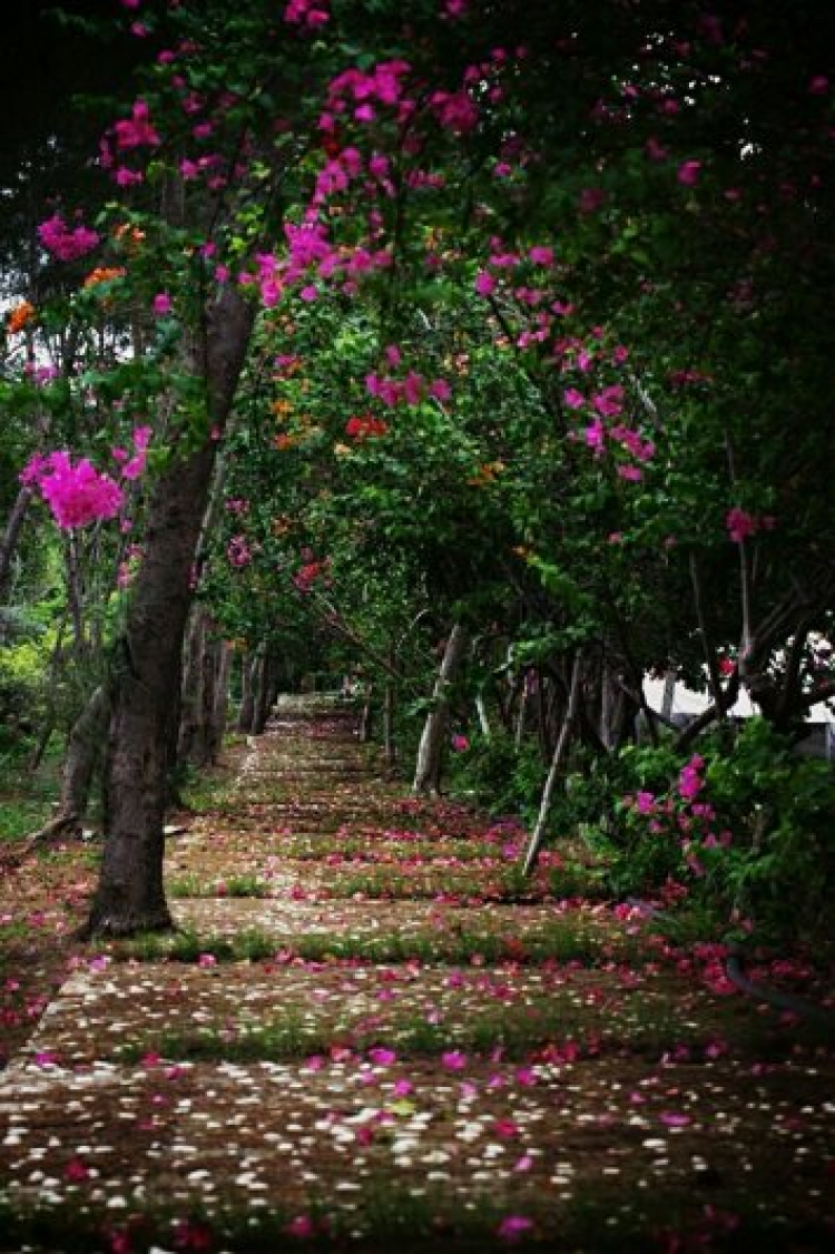 Câu lạc bộ chụp hình GMFC Câu lạc bộ chụp hình GMFC