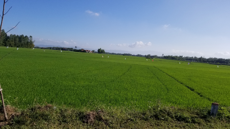 Phú Yên - vùng đất an yên cho những bác thích những nơi còn hoang sơ Phú Yên - vùng đất an yên cho những bác thích những nơi còn hoang sơ