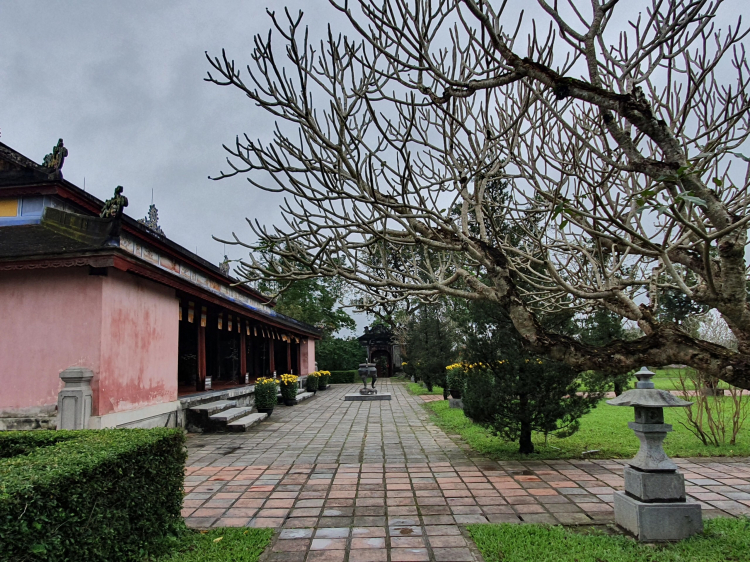 Du xuân 26 âm lịch đến 4 tết SG-Đà Lạt-Măng đen-Bình định-Nha Trang-SG Du xuân 26 âm lịch đến 4 tết SG-Đà Lạt-Măng đen-Bình định-Nha Trang-SG