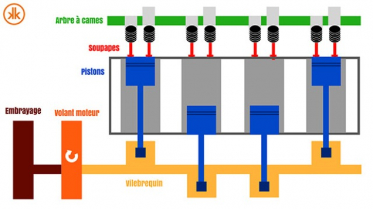 Về tên của bộ phận búp-xoa Về tên của bộ phận búp-xoa