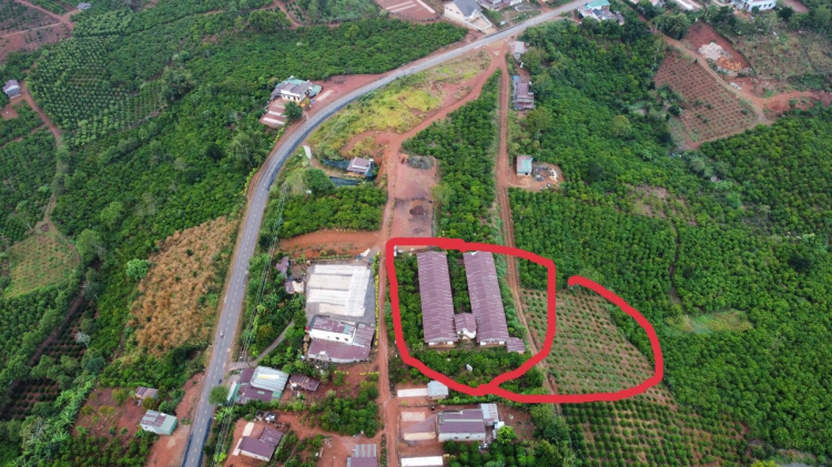 Thông tin xoay quanh BĐS Bảo Lộc. Thông tin xoay quanh BĐS Bảo Lộc.