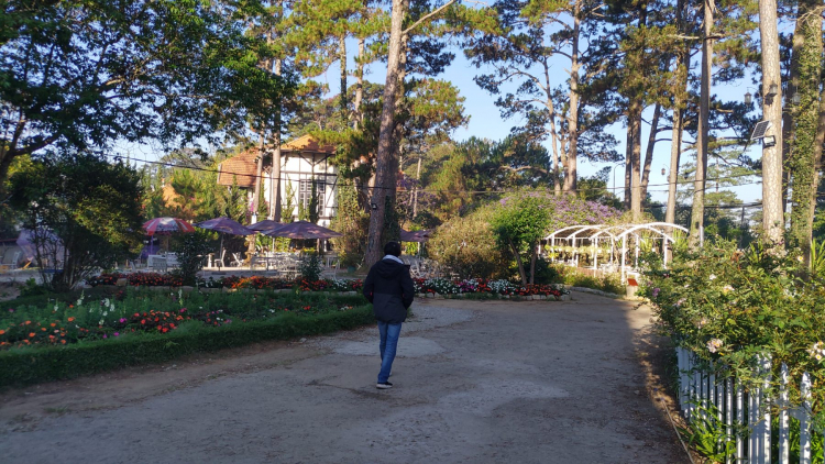 Tổng hợp các thớt về DALAT từ A đến Z Tổng hợp các thớt về DALAT từ A đến Z