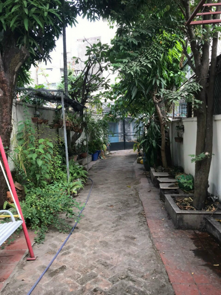 Cập nhật giá nhà phố TT quận 1,3,4,10, Phú Nhuận , Bình Thạnh Cập nhật giá nhà phố TT quận 1,3,4,10, Phú Nhuận , Bình Thạnh