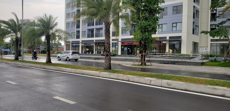 VINHOMES GRAND PARK QUẬN 9 LÀ CÁI “BẪY GẤU” CHO NHỮNG KHÁCH YÊU MÀU HỒNG!