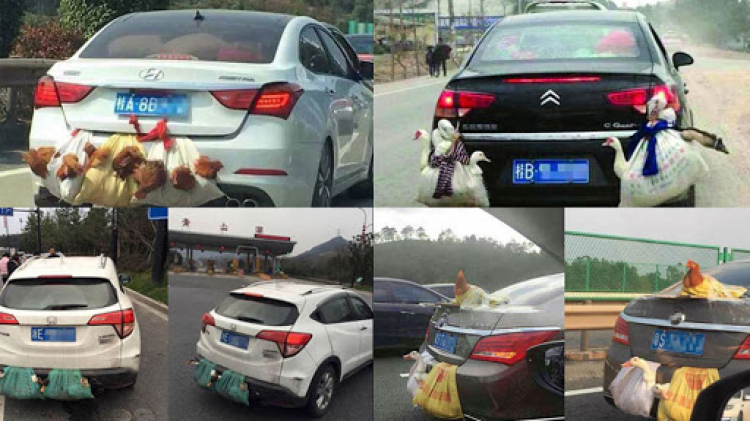 Kia Sonet 2021 bản 7 chỗ ngồi ra mắt tại Indonesia: giá từ 316 triệu đồng, sẽ hút hàng nếu về Việt Nam Kia Sonet 2021 bản 7 chỗ ngồi ra mắt tại Indonesia: giá từ 316 triệu đồng, sẽ hút hàng nếu về Việt Nam