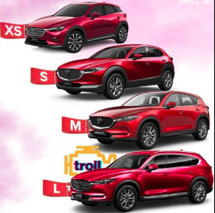 Mazda CX-3 và CX-30 ra mắt thị trường Việt với giá từ 629 và 839 triệu đồng