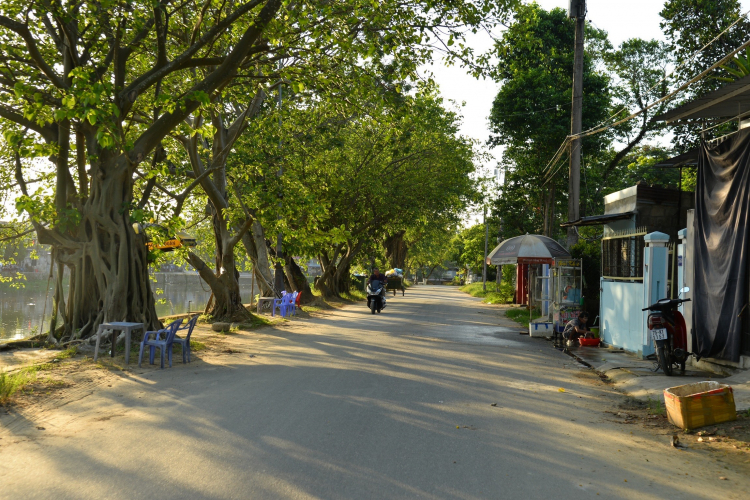 Xin tư vấn Sài Gòn - Huế đi về trong 2 tuần