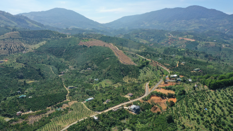 Khu Làng Thiền Sinh Thái Medi Ecovill Bảo Lâm gần TP Bảo Lộc