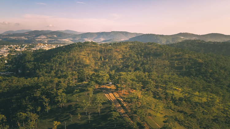 DJI_0026.jpg DJI_0026.jpg
