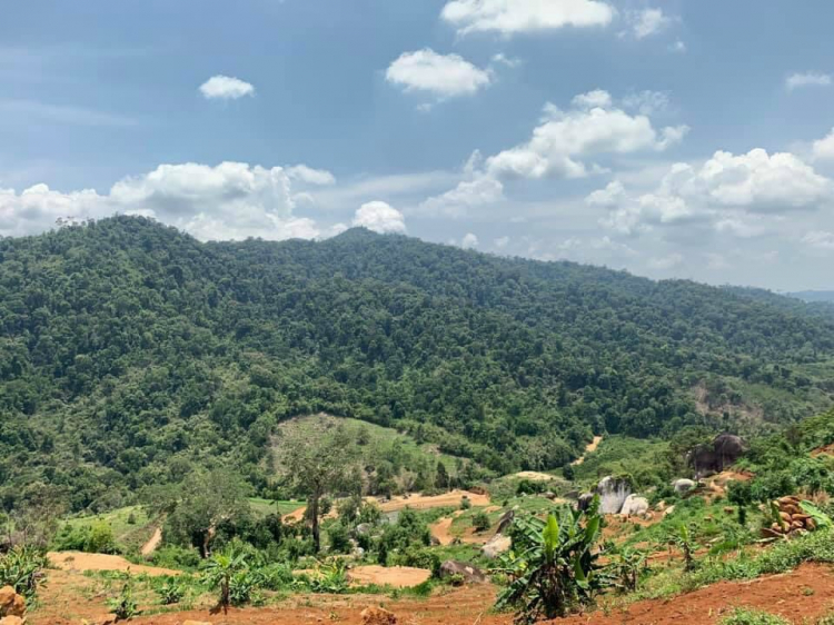 Thông tin xoay quanh BĐS Bảo Lộc. Thông tin xoay quanh BĐS Bảo Lộc.