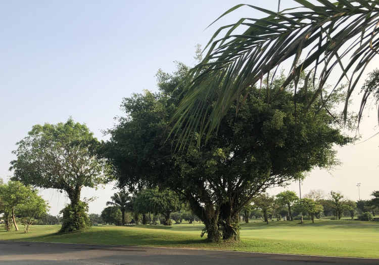 Dự án Hưng Thịnh Vũng Tàu Lavida Residences Dự án Hưng Thịnh Vũng Tàu Lavida Residences
