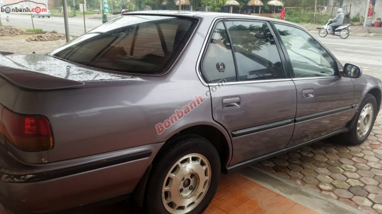 ACCORD CLUB : Bộ sưu tập ACCORDS 90-97 & Acura Legend 91- 95 !