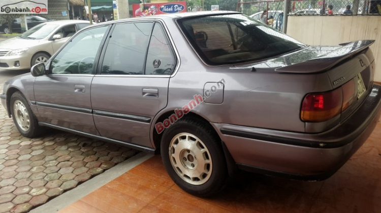 ACCORD CLUB : Bộ sưu tập ACCORDS 90-97 & Acura Legend 91- 95 !