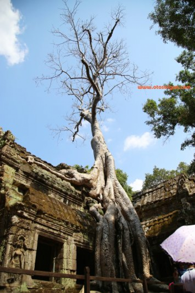 Tường thuật Caravan Hành Trình Di Sản Đền Preah Vihear – Angkor 2015