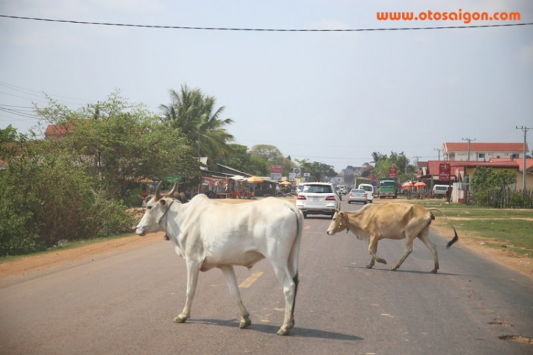 Tường thuật Caravan Hành Trình Di Sản Đền Preah Vihear – Angkor 2015