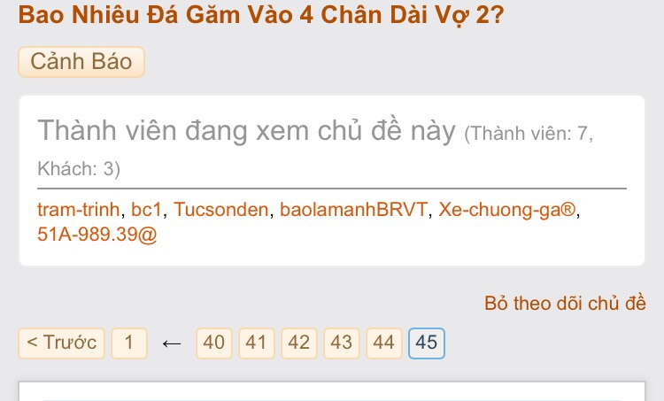 Bao Nhiêu Đá Găm Vào 4 Chân Dài Vợ 2? Bao Nhiêu Đá Găm Vào 4 Chân Dài Vợ 2?