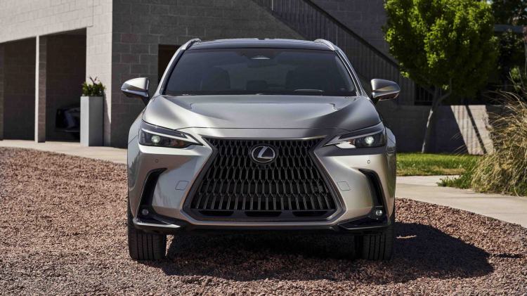 OS_LEXUS -23.jpg OS_LEXUS -23.jpg