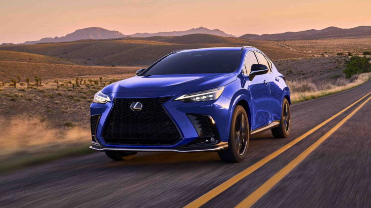 OS_LEXUS -37.jpg OS_LEXUS -37.jpg