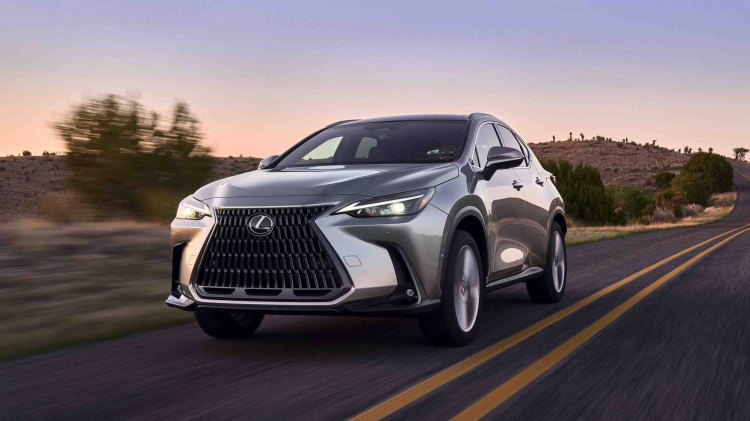 OS_LEXUS -30.jpg OS_LEXUS -30.jpg