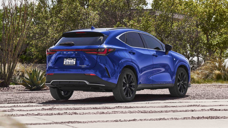 OS_LEXUS -36.jpg OS_LEXUS -36.jpg