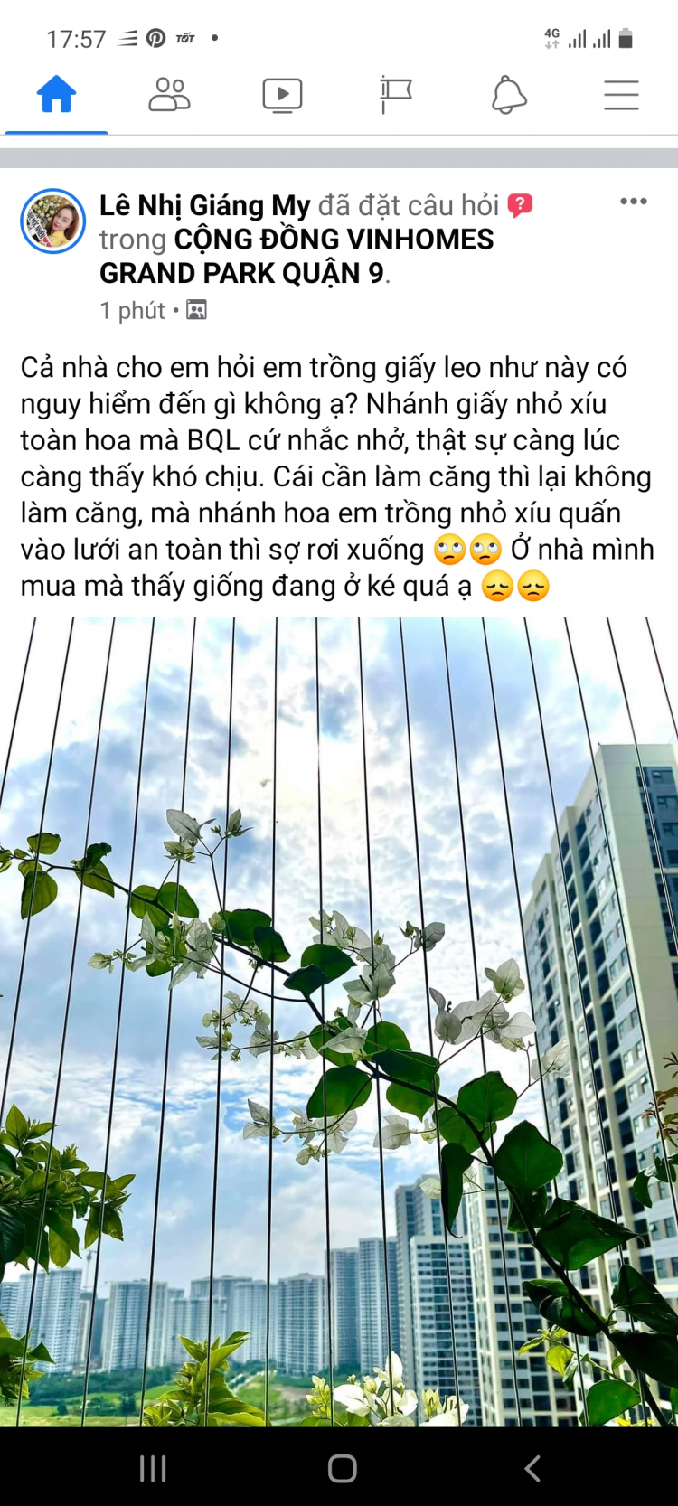 VINHOMES GRAND PARK QUẬN 9 LÀ CÁI “BẪY GẤU” CHO NHỮNG KHÁCH YÊU MÀU HỒNG!